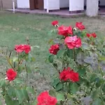 Ai Piedi Del Gran Sasso Apartment